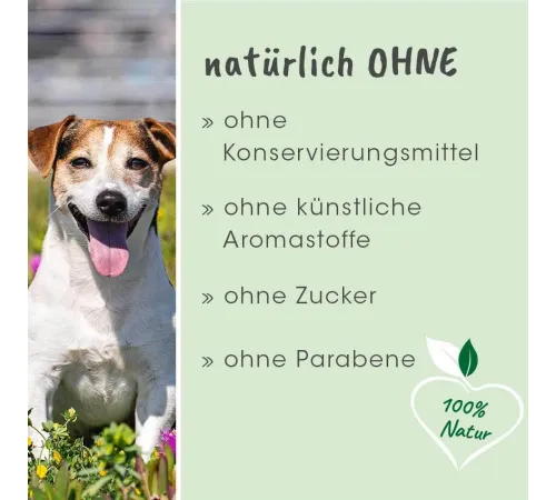 Zahnpflege für Hunde und Katzen - cdVet dentaVet Gel 35 g