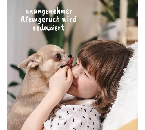 Zahnpflege für Hunde und Katzen - cdVet dentaVet Gel 35 g