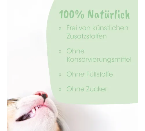 Zahnpflege für Hunde und Katzen - cdVet dentaVet Gel 35 g