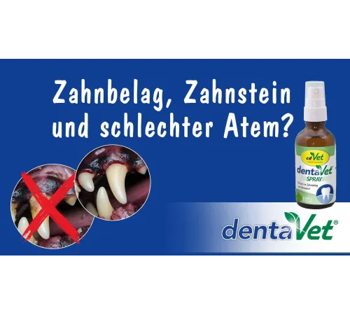 Спрей для догляду за зубами собак та котів - cdVet dentaVet Spray 20 ml