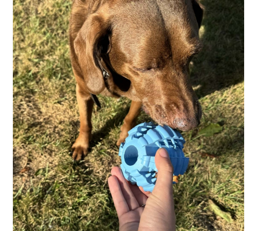Duvoplus Ball Griplay Dental Rippe - Blau