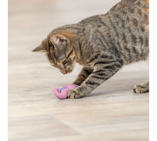 Trixie Katzenspielzeug Seepferdchen