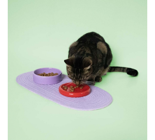 EBI Coockoo Futternapf FUNKY FEEDING - rot/violett