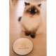 Duvoplus Katzennapf Stone Feed Me Meow