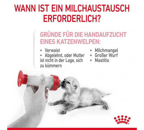 Заменитель молока - Royal Canin Babycat Milk 300 g