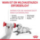 Заменитель молока - Royal Canin Babycat Milk 300 g