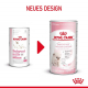 Заменитель молока - Royal Canin Babycat Milk 300 g