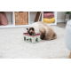 Trixie Rod Box Katzenspiel
