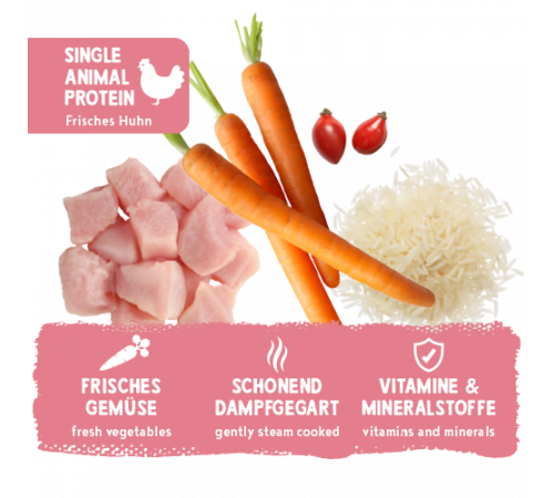 bosch Freshe Schnauze Nassfutter Huhn mit Reis & Karotten 250 g