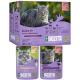 Вологий корм для котів – Bozita Senior 8+ Häppchen in Soße mit Fleisch Multibox 12x85 g