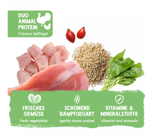 bosch Freshe Schnauze Nassfutter Pute mit Quinoa & Spinat 250 g