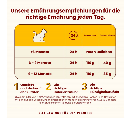 Nassfutter für Kitten – Almo Nature HFC Kitten mit Huhn 70 g
