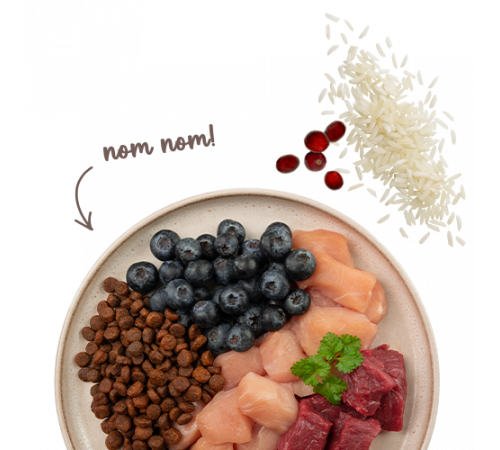 Sanabelle Life Sensitive mit Lamm & Blaubeeren 8 kg