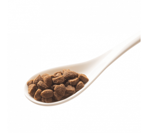 Trockenfutter für Katzen – GranataPet DeliCATessen Kitten / Junior Geflügel 1,8 kg