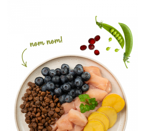 Sanabelle Life No Grain Huhn & Blaubeeren 8 g