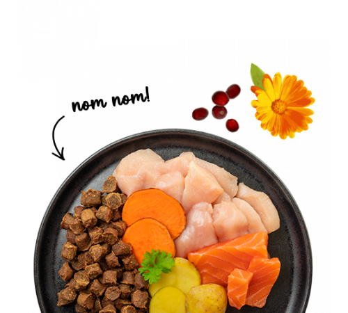 Sanabelle Juicy Nordsee-Lachs 40 g