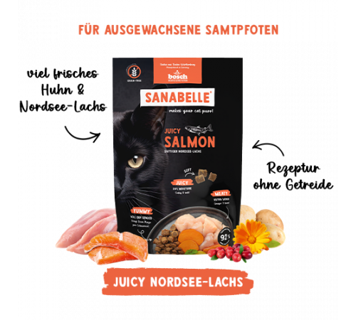 Sanabelle Juicy Nordsee-Lachs 40 g