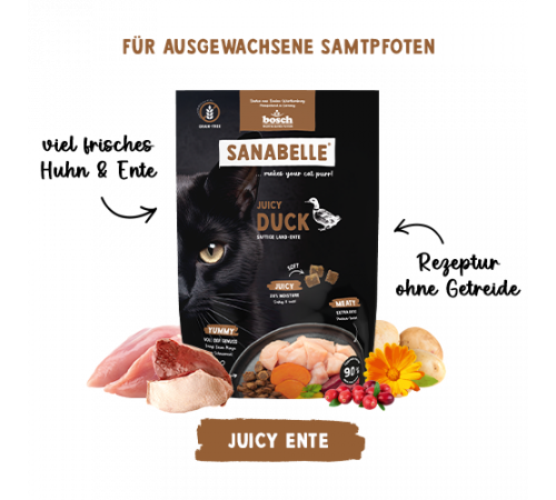 Sanabelle Juicy Land-Ente 40 g