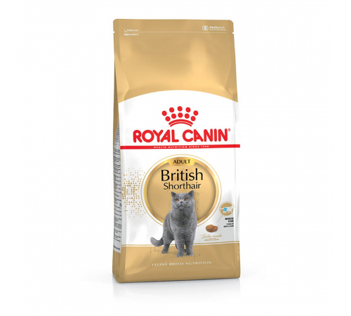 Trockenfutter für Katzen - Royal Canin British Shorthair Adult 10 kg