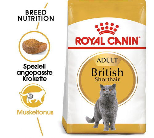 Trockenfutter für Katzen - Royal Canin British Shorthair Adult 10 kg