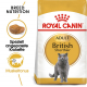 Trockenfutter für Katzen - Royal Canin British Shorthair Adult 10 kg