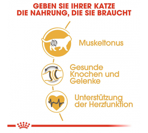 Trockenfutter für Katzen - Royal Canin British Shorthair Adult 10 kg