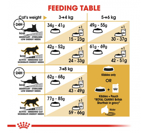 Trockenfutter für Katzen - Royal Canin British Shorthair Adult 10 kg