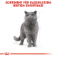 Trockenfutter für Katzen - Royal Canin British Shorthair Adult 10 kg