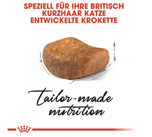Trockenfutter für Katzen - Royal Canin British Shorthair Adult 10 kg