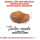Trockenfutter für Katzen - Royal Canin British Shorthair Adult 10 kg