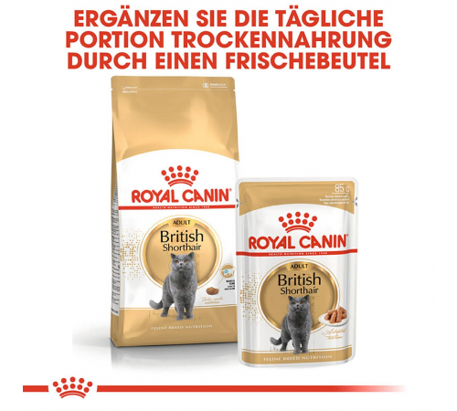 Trockenfutter für Katzen - Royal Canin British Shorthair Adult 10 kg
