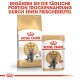 Trockenfutter für Katzen - Royal Canin British Shorthair Adult 10 kg