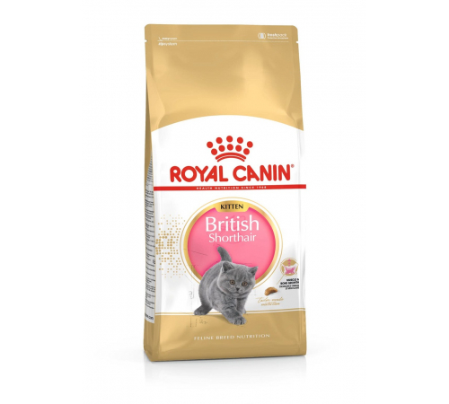 Сухий корм для кішок – Royal Canin British Shorthair Kitten 2 kg