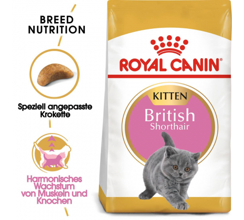 Сухий корм для кішок – Royal Canin British Shorthair Kitten 2 kg