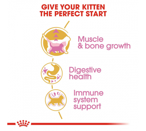 Сухий корм для кішок – Royal Canin British Shorthair Kitten 2 kg