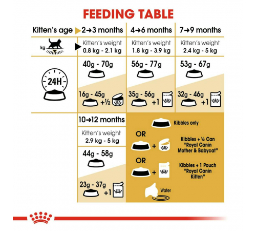 Сухий корм для кішок – Royal Canin British Shorthair Kitten 2 kg
