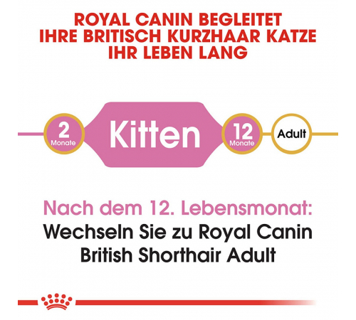 Сухий корм для кішок – Royal Canin British Shorthair Kitten 2 kg