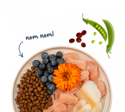 Sanabelle Life Adult mit Forelle & Blaubeeren 2 kg