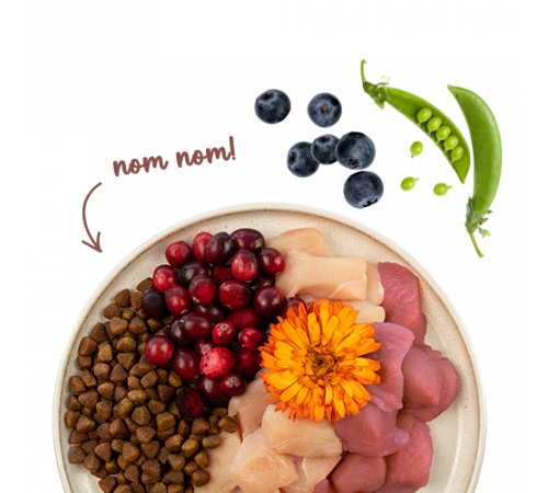 Sanabelle Life Indoor mit Perlhuhn & Preiselbeeren 2 kg