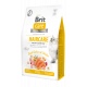 Сухой корм для кошек – Brit Care Cat Grain-Free HAIRCARE Healthy & Shiny Coat 2 kg