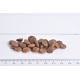 Сухий корм для кішок – Brit Care Cat Grain-Free SENSITIVE Food Allergy Management 2 kg