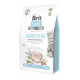 Сухий корм для кішок – Brit Care Cat Grain-Free SENSITIVE Food Allergy Management 2 kg