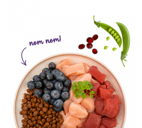 Sanabelle Life Adult mit Strauß & Blaubeeren 2 kg