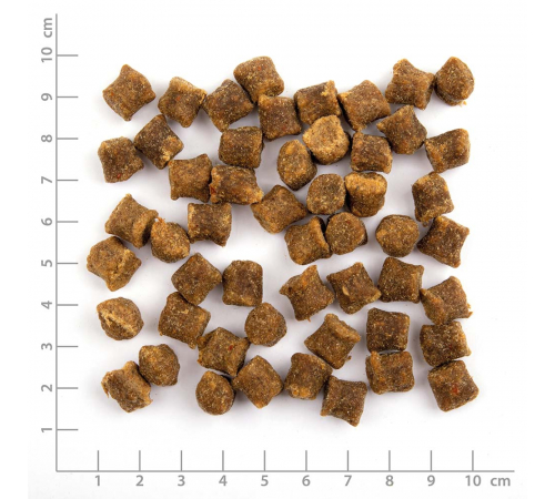 Wildes Land Cat Softsnack Ente & Pute 50 g