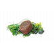 Brit Care Cat Snack Digestion 50 g