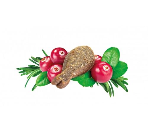 Brit Care Cat Snack Urinary 50 g