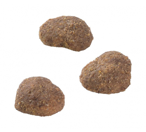 Leckerlis für Katzen - Brit Care Snack Superfruits Lamb 100g