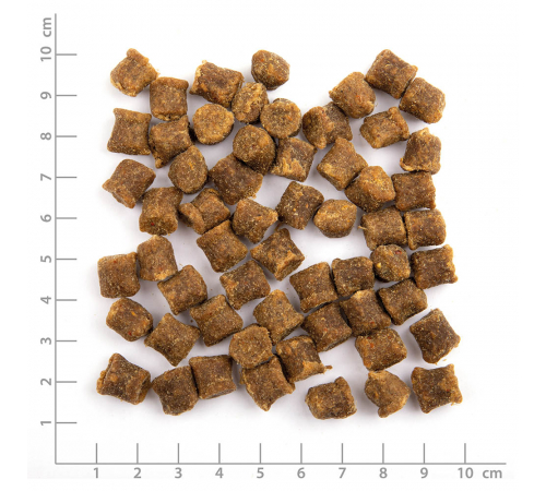Wildes Land Cat Softsnack Huhn & Lachs 50 g