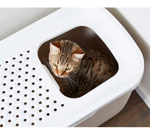 Savic Katzentoilette Hop In - weiß/beige