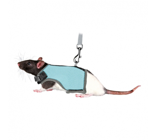Trixie Softgeschirr für Ratten